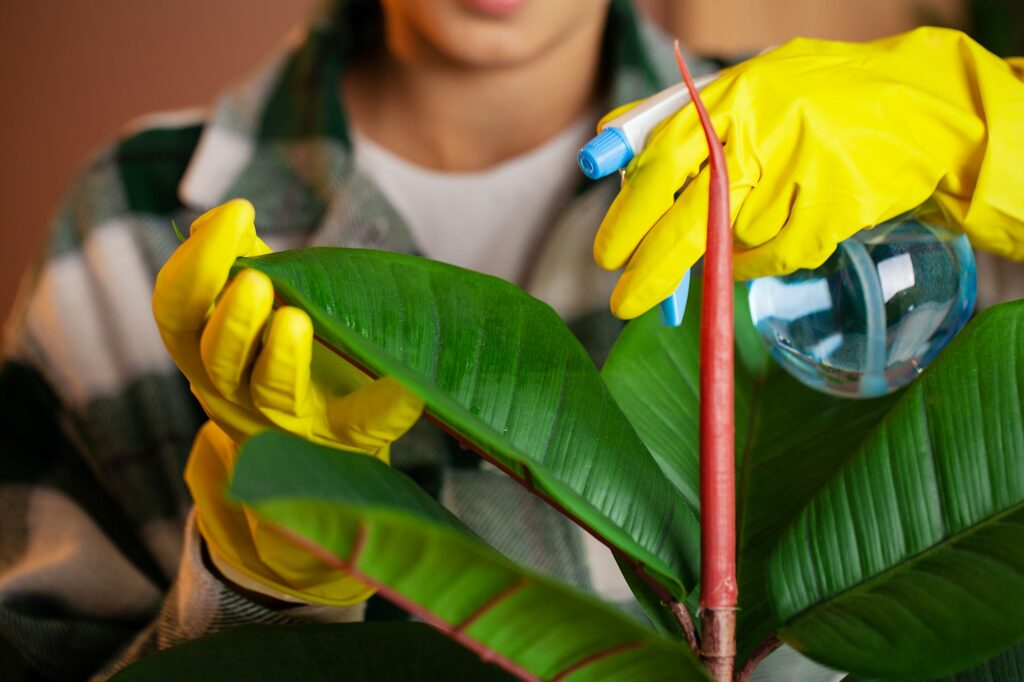 An employee of the cleaning company fulfills orders for office cleaning